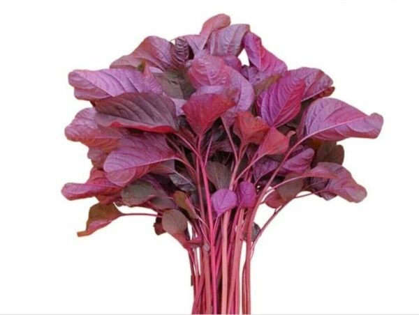 Lalshak Seeds